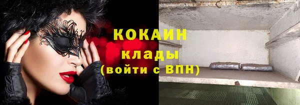 дживик Елабуга