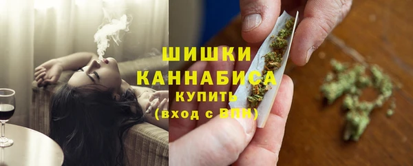 дживик Елабуга