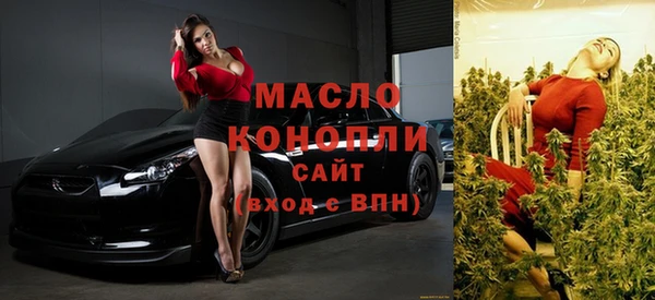дживик Елабуга