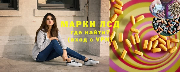 дживик Елабуга