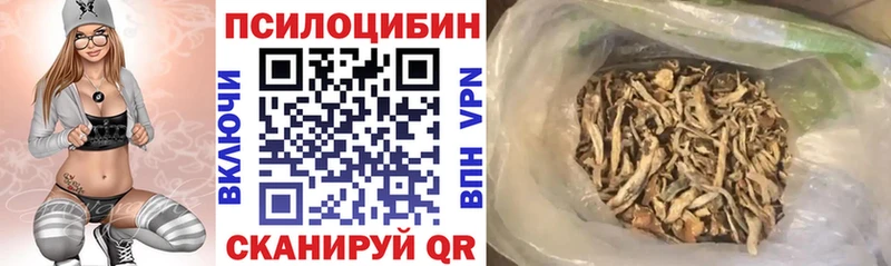 Купить закладки  Демидов  Псилоцибиновые грибы мицелий 